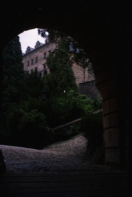 Moody nighttime shot of a multi-story stone castle perched on a hillside, partially obscured by dense foliage. The structure ...