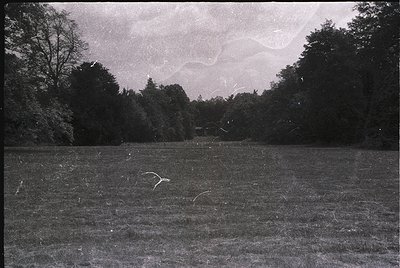 Vintage black-and-white landscape of an open field with dense forest in background. Low-angle shot captures sparse, scattered...