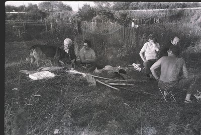Vintage black-and-white rural gathering: group of six adults seated on grass, preparing food outdoors. Skinned animal carcass...