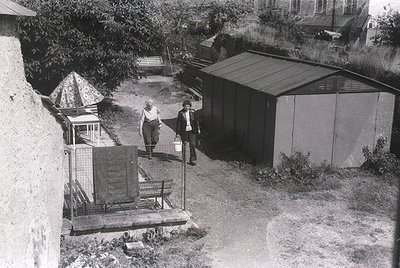 Mid-20th century backyard with two men standing near a metal-framed clothesline and a corrugated shed. Concrete steps lead to...