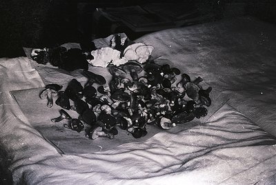 Stacked vintage leather shoes in disarray on a bed, likely mid-20th century. Possible post-war or transitional era domestic s...