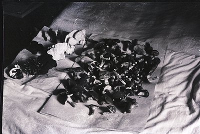 Mid-century black-and-white photo of a handmade stuffed toy, likely a bear, with patchwork fur from fabric scraps. The sewn s...