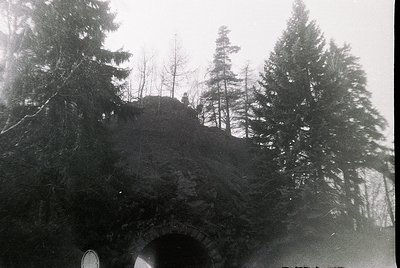 Black-and-white shot of a misty alpine forest tunnel, with dense conifers framing a rocky outcrop ahead. Fog obscures distant...