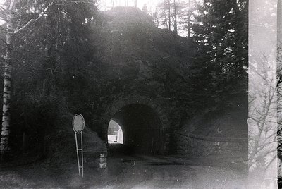 Vintage black-and-white tunnel entrance with directional road sign indicating a right turn. Surrounded by dense forest and ro...