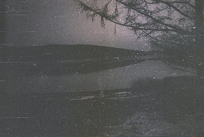 Monochrome winter scene featuring a snow-laden tree silhouette against a dark sky. Snowflakes fall across a reflective, wet s...