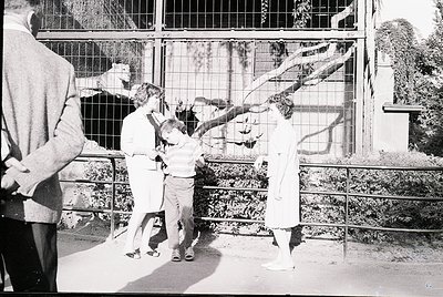 Mid-20th century zoo scene: family feeding zoo animals through metal bars. Adults in long-sleeve shirts, children in shorts. ...