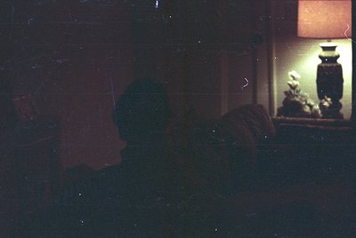 Vintage film grain captures a dimly lit interior through a frosted glass window. A silhouette of two figures stands near a ta...