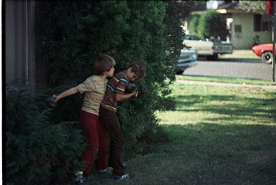 Two young boys in 1970s-style striped shirts and red pants carry a large evergreen branch on a suburban street. Classic cars ...