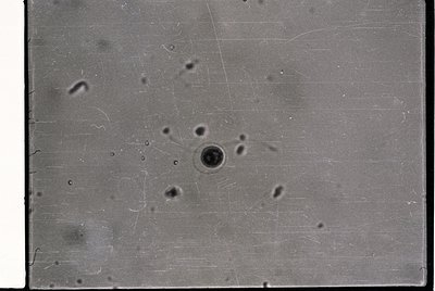 Vintage black-and-white close-up of a textured concrete surface with pockmarks and linear scratches, likely from industrial u...