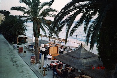 Seaside promenade with tropical palm trees lining a bustling beachside café area. Straw-thatched umbrellas and wooden tables ...