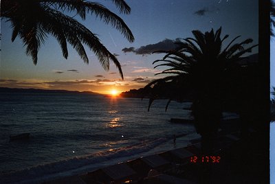 Sunset over a tropical seaside, framed by palm fronds. Warm golden light reflects on calm waters, silhouetting distant landfo...