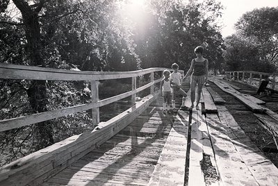 Three children cross a rustic wooden bridge in a sunlit forest, framed by dense foliage. The bridge’s weathered planks and ha...