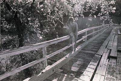 Black-and-white shot of a lone figure standing on a wooden boardwalk flanked by railings, surrounded by dense foliage. Sunlig...