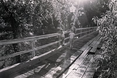 Mid-20th century black-and-white photo of two children on a wooden boardwalk through dense foliage, sun rays piercing canopy....