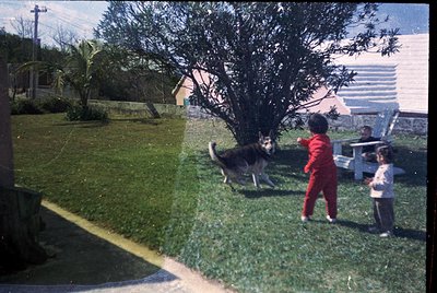 Vintage snapshot of a backyard scene with two children playing frisbee with a dog. The child in red tracksuit pants throws th...