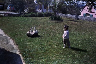 Vintage 1960s suburban scene: child in short-sleeved shirt stands on manicured lawn beside overturned metal barrel. Pink stuc...
