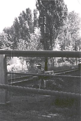 Mid-20th century black-and-white shot of a person mid-crossing on a high-wire, framed by a train window. Dense forest and ind...