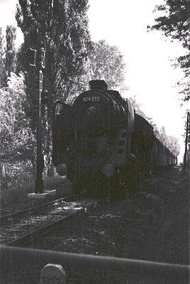 Vintage steam locomotive 053 on tracks, surrounded by dense forest. Side view shows classic 20th-century European rail design...