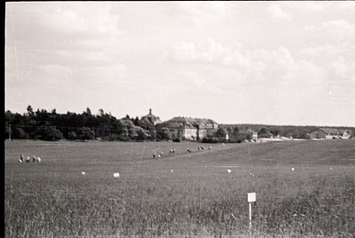 Mid-20th century rural landscape with sheep grazing in a tall grass field. Distant village with clustered brick houses and a ...