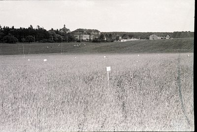 Mid-20th century rural landscape featuring tall grass fields with a signpost in foreground. Distant buildings—likely resident...