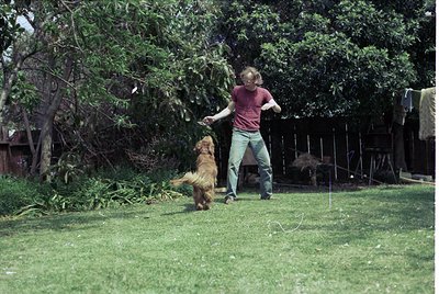 A man in a red polo shirt and light-colored pants throws a frisbee for a golden retriever in a lush backyard. Mid-20th centur...