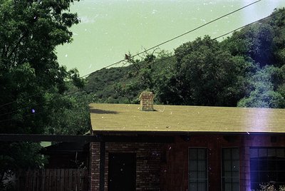 Vintage black-and-white photo of a modest brick home with a pitched roof and chimney, framed by dense foliage and power lines...