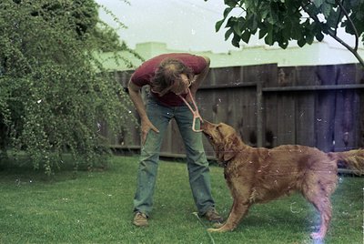 Vintage candid of a person playfully tossing a frisbee for a wet golden retriever in a backyard. Wooden fence and lush greene...