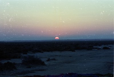Vintage seascape with sunrise/sunset over calm waters, framed by coastal vegetation. Film grain and scratches suggest mid-20t...