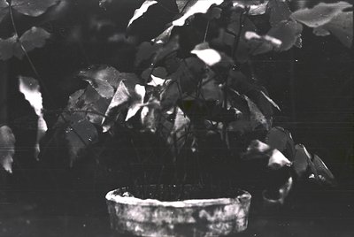 High-contrast black-and-white shot of shattered glass fragments and a broken rimmed bowl on a reflective surface. The composi...
