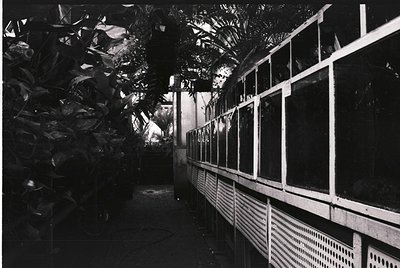 Mid-century modern indoor corridor with lush tropical foliage framing both sides. Concrete pillars and metal railings create ...