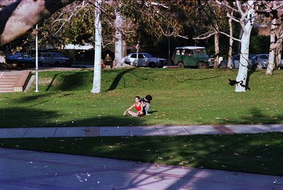 Two children sit on grass beside a sidewalk, framed by tree shadows. Mid-century suburban park with parked cars (including a ...
