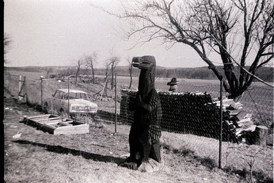 Hand-carved wooden dinosaur statue in rural setting, positioned near a chain-link fence. Mid-20th century farmhouse and vinta...