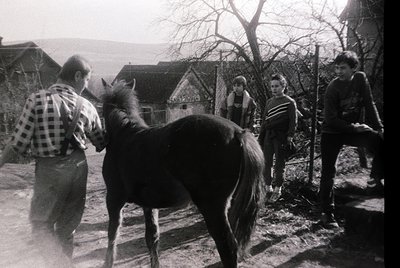 Black-and-white rural scene featuring a man in a plaid shirt leading a horse along a dirt path, with three onlookers—two wome...