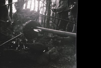 Black-and-white wartime scene: soldiers in dense forest, one soldier lying prone with rifle raised, others crouched or standi...