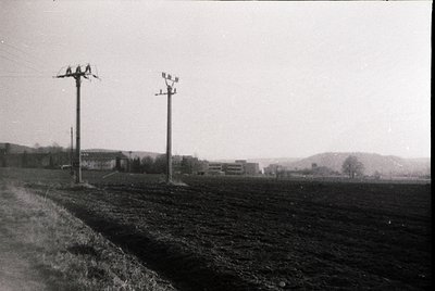 Mid-20th century rural landscape with two utility poles and barbed wire fence. Open fields stretch toward low-lying buildings...