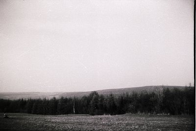 Vintage black-and-white landscape featuring open field with sparse vegetation, bordered by dense forest and rolling hills und...
