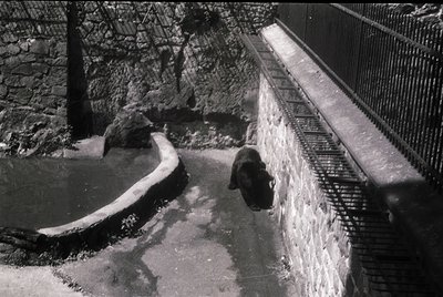 Industrial-era water reservoir with curved concrete basin and metal grating. A lone worker in dark attire stands near a slope...