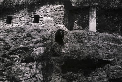 Black-and-white photograph of a person seated on moss-covered stone steps in a dimly lit, rustic courtyard. Stone walls and a...
