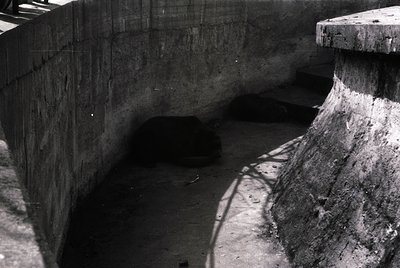 Concrete-lined tunnel with worn, textured walls and ceiling, likely industrial or urban infrastructure. Shadows cast by overh...