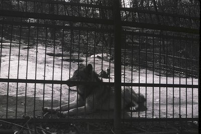 Two individuals seated on concrete ledges behind industrial-style metal fencing, framed by vertical bars. The setting appears...
