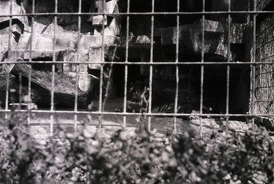Black-and-white industrial shot of a rusted metal cage enclosing a pile of scrap metal and debris. The geometric shadows and ...