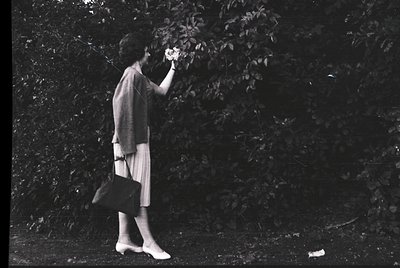 Black-and-white candid of a woman in mid-1960s fashion—pleated skirt, cardigan, and handbag—reaching for blossoms in a lush, ...