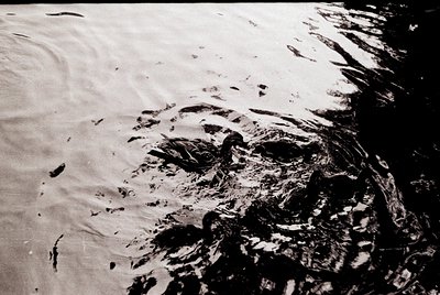 Black-and-white aerial view of a rocky coastline with turbulent waves crashing against jagged cliffs. The texture of the rock...