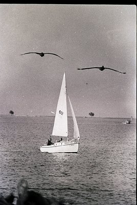 Vintage sailboat () gliding on calm waters, with two seagulls in flight above. Mid-20th century maritime scene, likely coasta...
