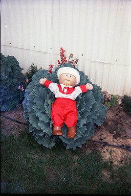 Vintage stuffed toy dressed in red overalls and a white cap seated atop a large cabbage head, surrounded by greenery. The toy...