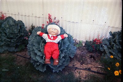 Vintage stuffed bear seated atop a large cabbage sculpture in a garden, surrounded by blooming flowers and greenery. The bear...
