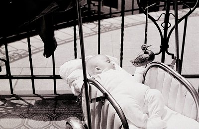 A baby sleeps peacefully in a vintage stroller, perched within wrought iron railings. A pigeon has landed on the stroller's h...