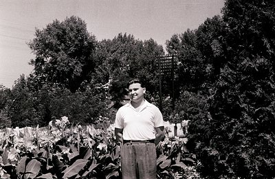 Man stands among tall, broad-leafed plants, likely cannas, in a garden setting. He wears a short-sleeved shirt and high-waist...