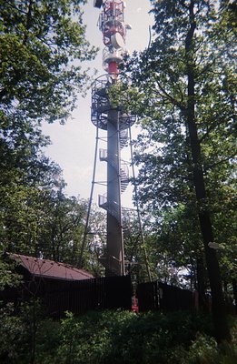 Tall, cylindrical communication tower rises through dense foliage. Spiral staircase visible on exterior. Small building with ...