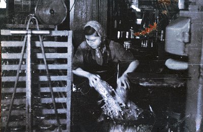 A woman in traditional dress appears to be processing a substance in a factory setting. Metal machinery, including a hopper a...
